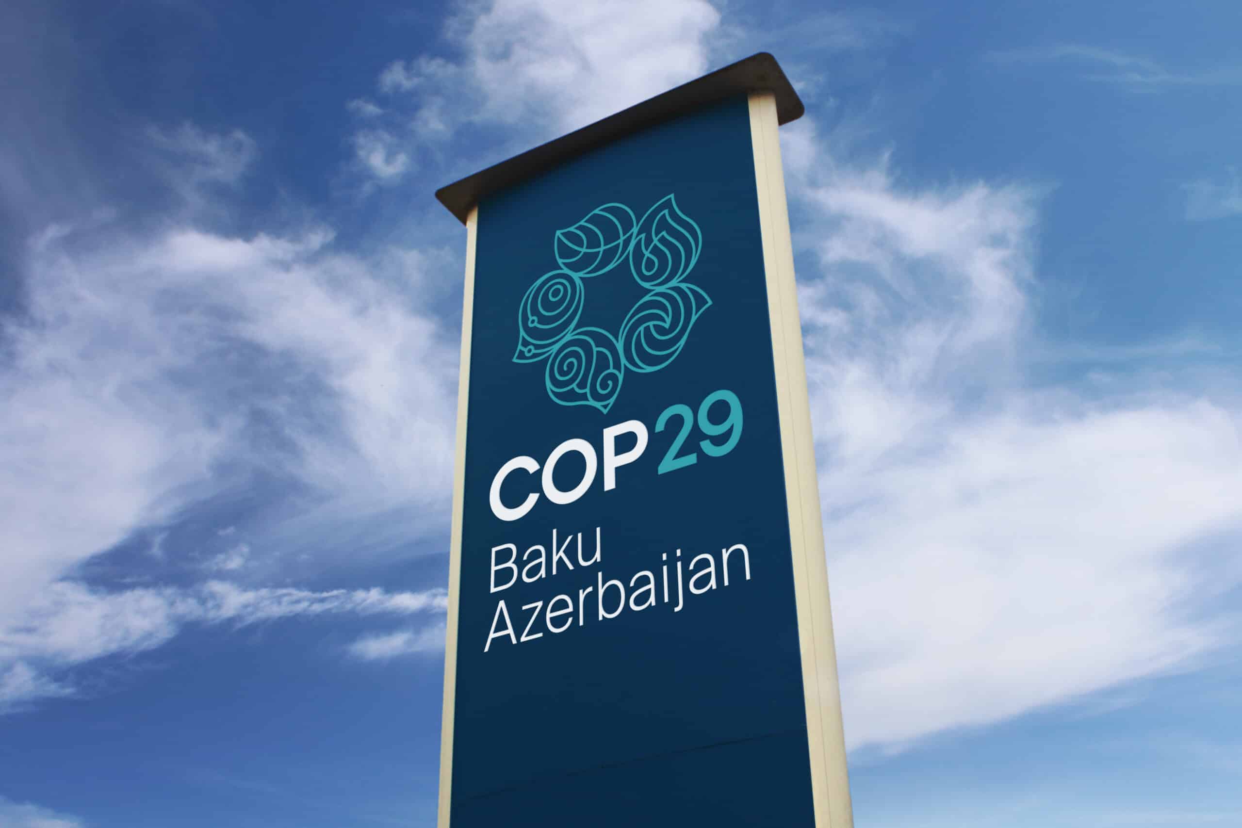 COP29: Risultati principali e sfide future